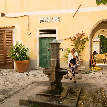 Casa Apollonia Lejlighed Marciana (Isola d'Elba)
